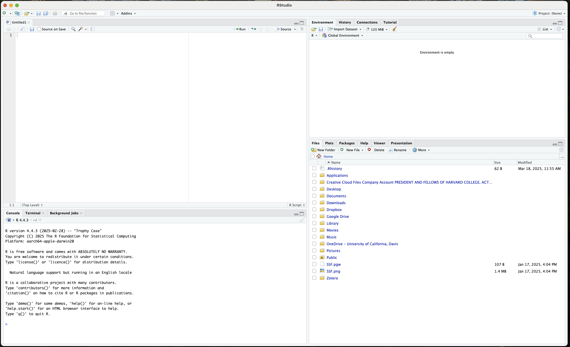 The RStudio Console